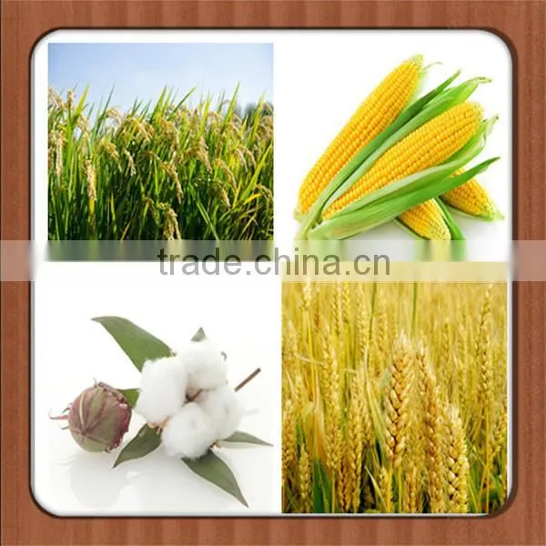 Snow White N 20.5% Granular Ammonium Sulphate photo-5