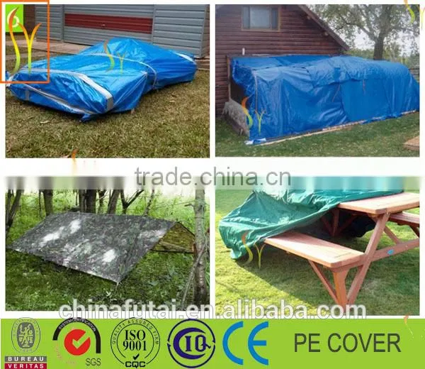 Promotional Inflatable Outdoor Tent, Camping Tent for Sale photo-2