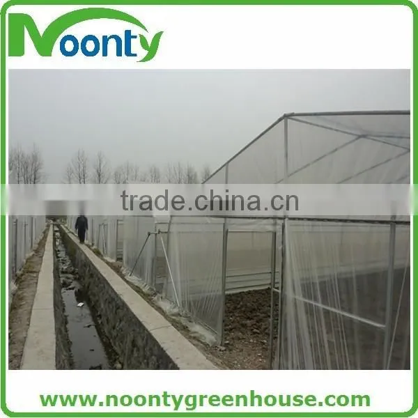 Agricultural Greenhouse photo-5