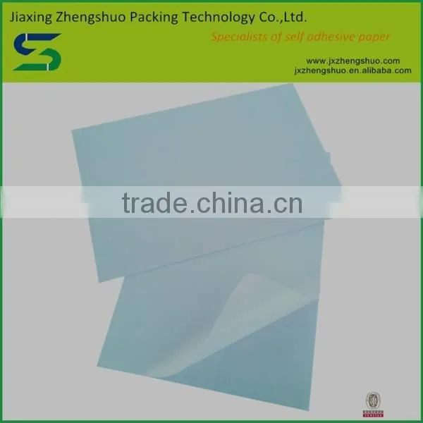 Chinese Supplier Best Selling Adhesive Printing Paper Roll photo-6