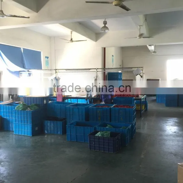 the Photoes of Our Factory photo-6