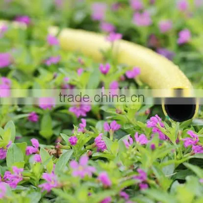 Green PVC Braided Garden Hose for Spraying photo-4