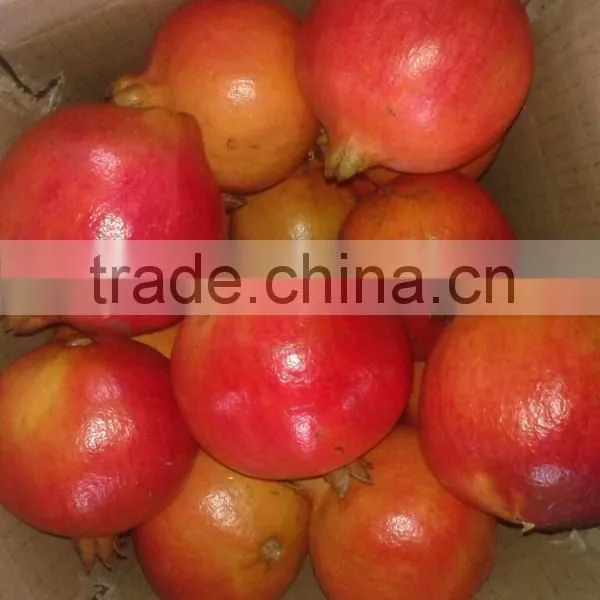 Fresh Pomegranate Fruit Supplier in India / Malaysia / Singapore / Dubai / Maldives / Sri Lanka photo-4