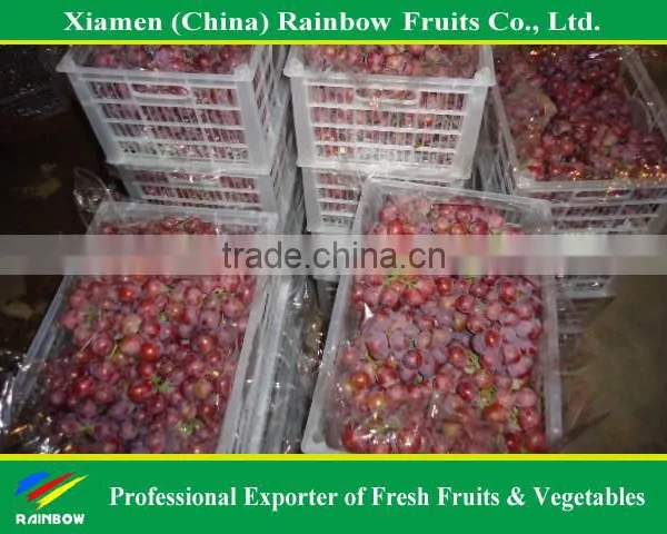 Fresh Red Sweet Seeded Grape Fruit Export From China photo-4