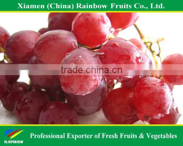 Fresh Chinese Table Grape Red Globe Grape Red Grape to India Asia Market photo-3