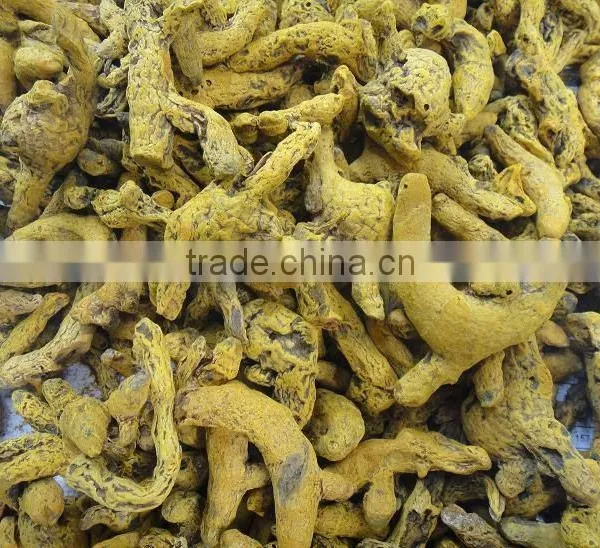 TURMERIC FINGER