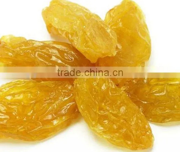 INDIAN ORIGIN QUALITY SEEDLESS GOLDEN RAISIN photo-5