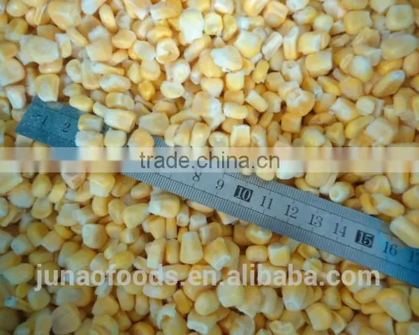 Purchase Good Quality Sweet Corn From China photo-4