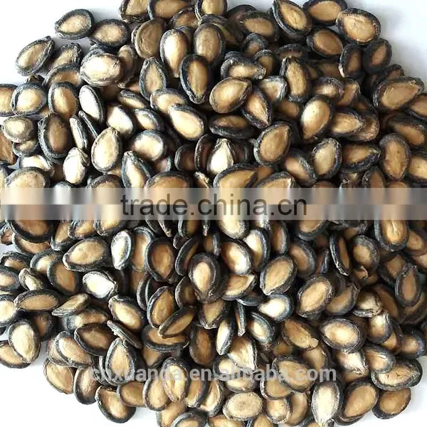 Wholesale Red Melon Seeds With Big Size Natural Color photo-4