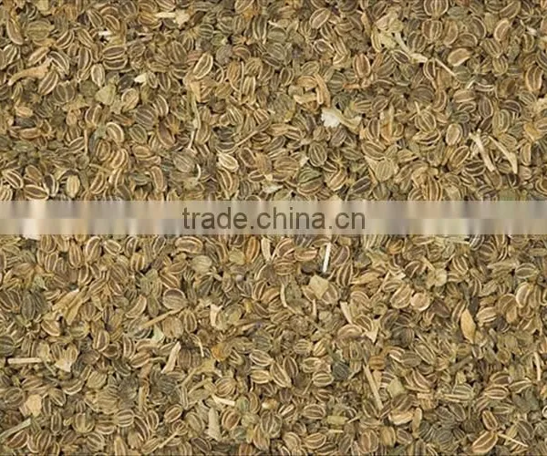 No. 1 Exporter of Celery Seed Essential Oil photo-4