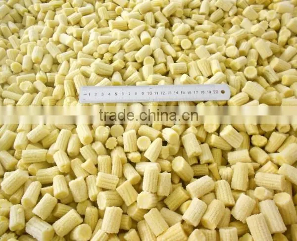 Fresh Baby Corn Cut From Vietnam