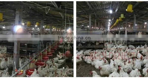 24 Holes Manual Egg Nest Box For Chicken House photo-5