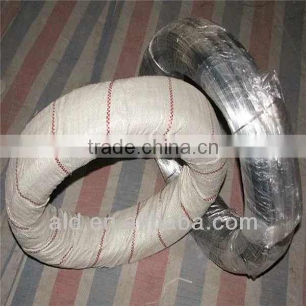 Hebei Factory 2mm Galvanized Wire Wire Mesh Factory photo-3