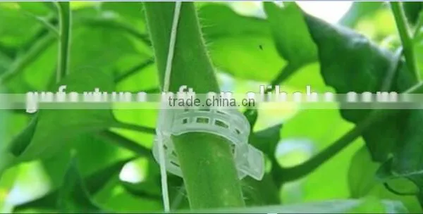 Cheap Plastic Tomato Clip for Agriculture Garden Use
