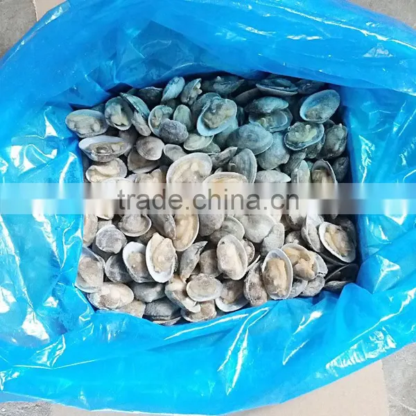 Clam Variety Frozen Half-shell Variegated Clam photo-3