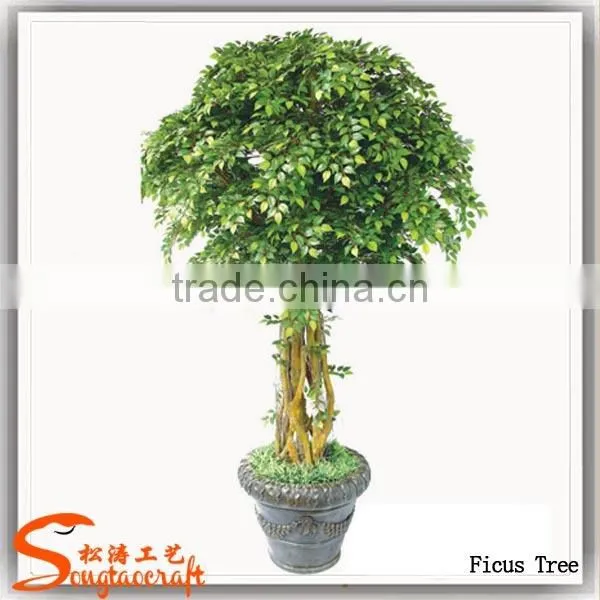 Guangzhou Supplier Artificial Ficus Tree Home Decoration Artificial Ficus Tree photo-3