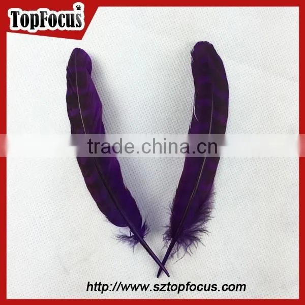 Reeves Cheap Natural Pheasant Tail Pheasant Feather for Sale photo-2