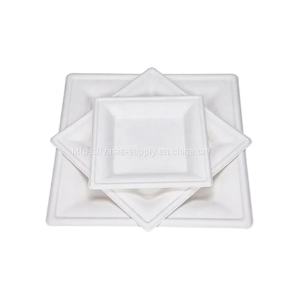 Low Price Biodegradable Disposable Bagasse ‎‎‎26 x 26 x 1.5 cm Square Dishes, for Barbecue, Birthday or Party. photo-3