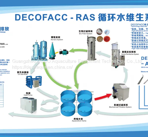 DECO RAS Recirculating Aquaculture System for Indoor Fish Farm