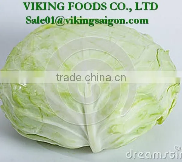 *Special _ Fresh Green Cabbage _ From Vietnam*
