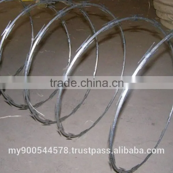 Galvanized Concertina Razor Wire photo-2