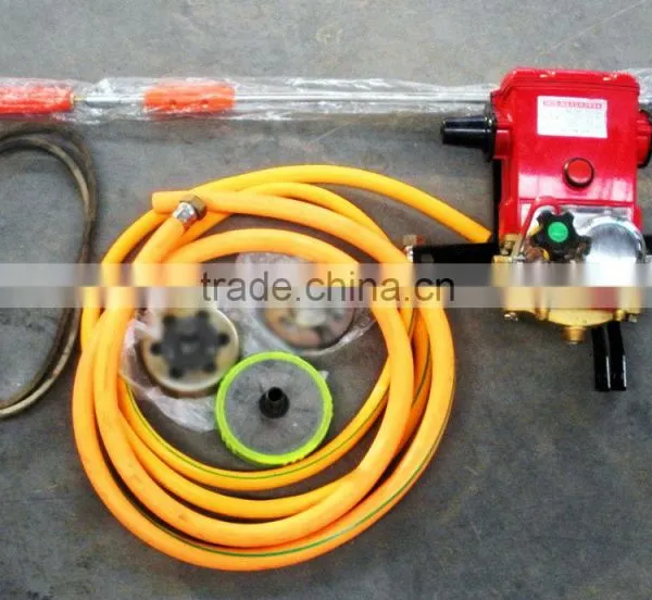 Gasoline Engine Agricultural Power Sprayer Machine in Agriculture for Sale photo-4