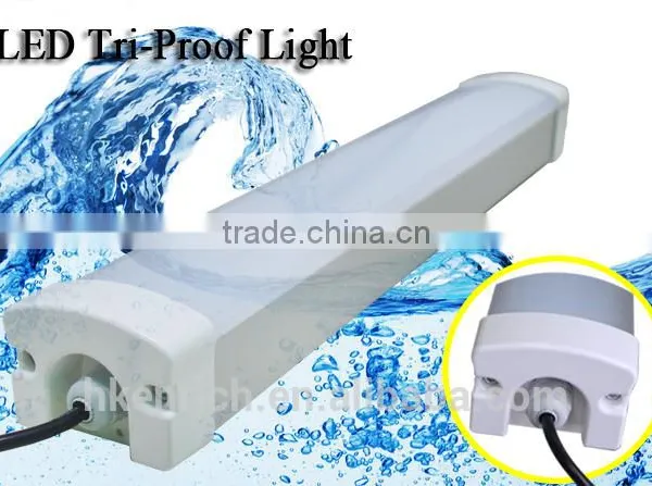 IP65 1200mm 40W Led Tri-proof Light for Warehouse photo-5