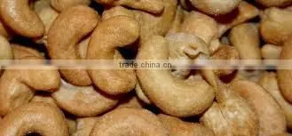 High Quality Vietnam Cashew Nut photo-5