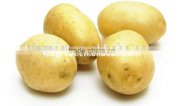 supply fresh vegetables ,high quality fresh potatoes for sale
