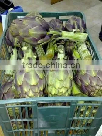 Artichokes photo-3