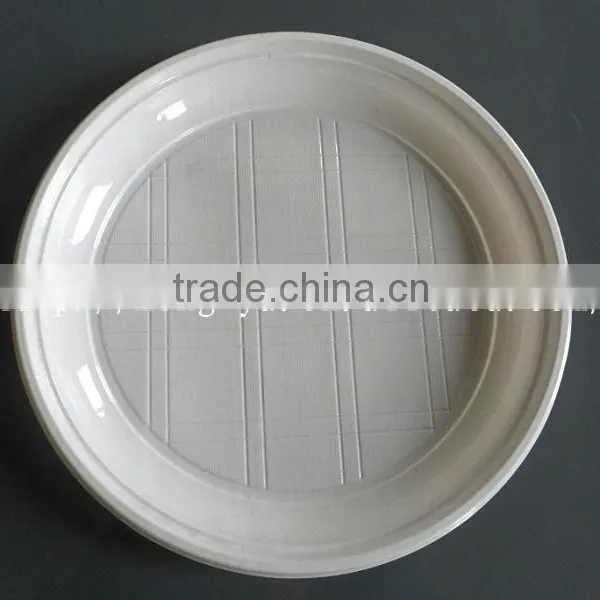 Disposable Plastic Plate for Dinner