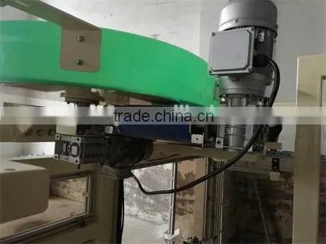 Case Packaging Machine for Salt Bags photo-5