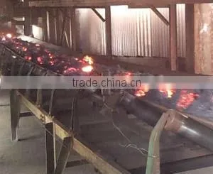 Heat-resistant Conveyor Belt photo-5