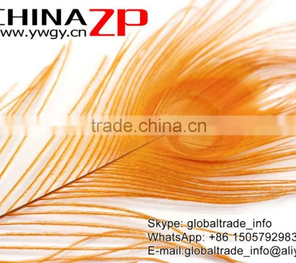 ZPDECOR Crafts Factory Leading Supplier Wholesale Cheap Full Eye Dyed Gold Peacock Tail Feathers photo-4