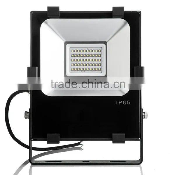 Hot Sale 50w Led Flood Light IP65 SMD Bridgelux 12 Volt Led Lights Cricket Live photo-3