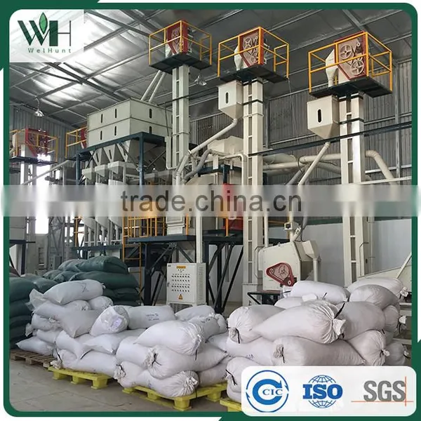 Jute Bag Packaged Asian Uniform Shape Cashew photo-4