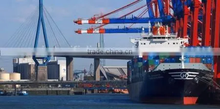 Bulk Cargo Handling in Russian Far East Ports photo-3