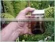 NATURAL BIRCH TAR OIL photo-2