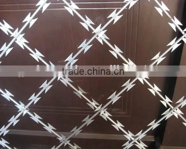 CBT-65 Hot Dipped Galvanized Razor Barbed Wire Mesh photo-6