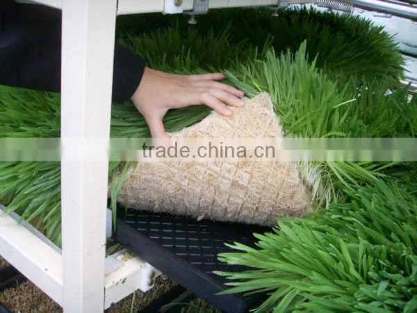 BK Conveyor Culture photo-3