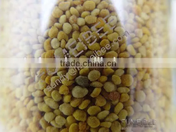China Factory 100% Organic Pure Tea Pollen
