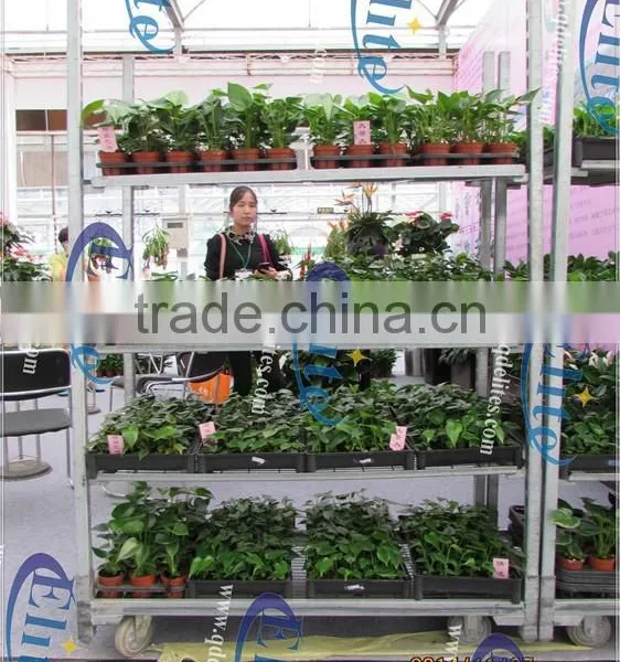 334 Glasshouse Trolley photo-5
