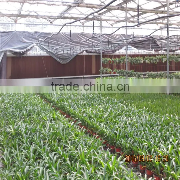 Green Houses for Agriculture photo-4