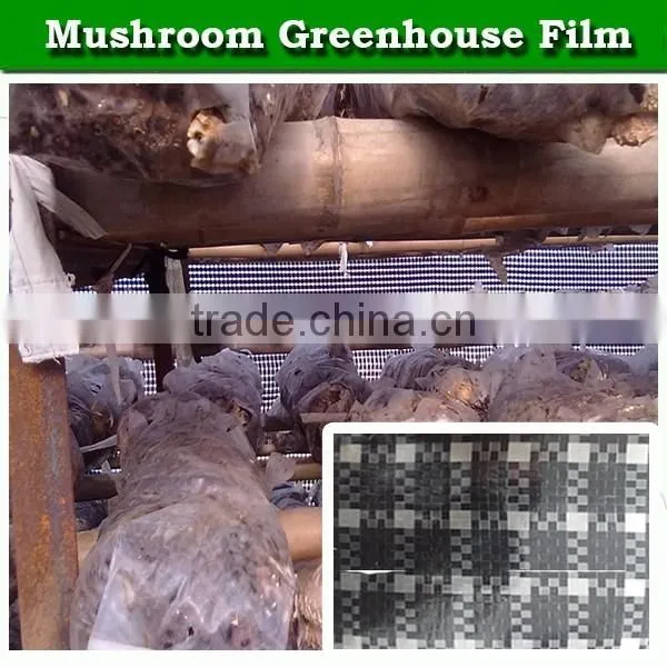 Black and White Grid Plastic Greenhouse Film for Mushroom / Bacteria Growing House photo-4