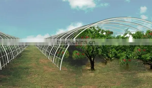 China Supplier Tunnel Greenhouse for Fruit photo-3