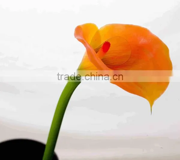 SJ300927 High Quality PU Common Callas Flowers for Indoor Deforative photo-4
