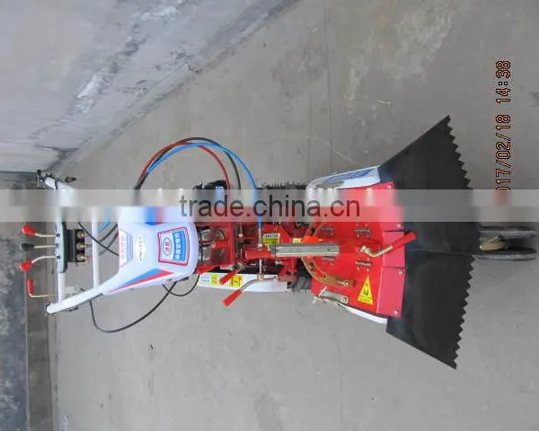 Multi-functional Manual Start Gasoline Power Rotary Tiller of Farm Equipment photo-4