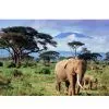 Jigsaw Puzzles 3