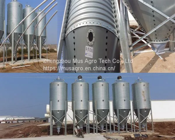 High Quality Automatic Pig Farm Design Floor Feeding System Equipment