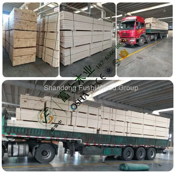 Poplar Lvl for Pallet photo-5